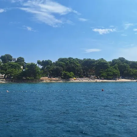 Cute Seaview *