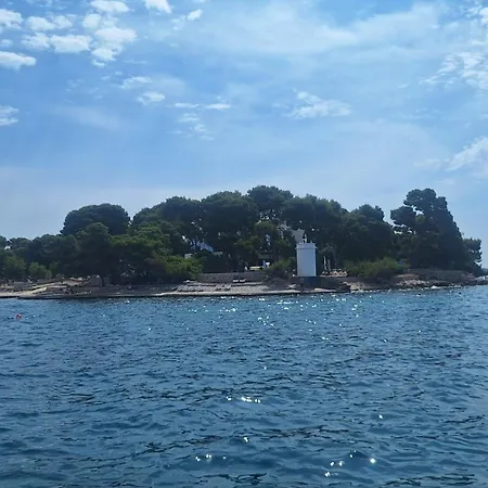 公寓 Cute Seaview 佩特坎内