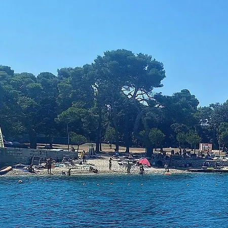 Cute Seaview *